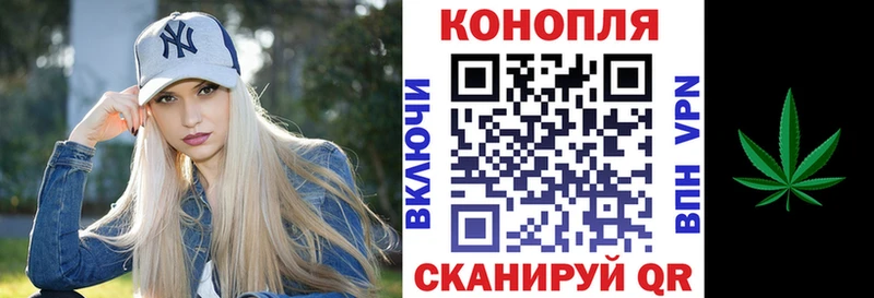 Где найти наркотики Гусев Cocaine MEGA ONION Бошки Шишки Гашиш АМФ