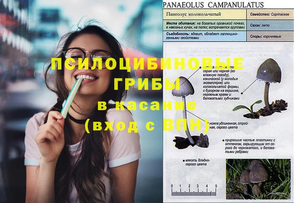 2c-b Белоозёрский