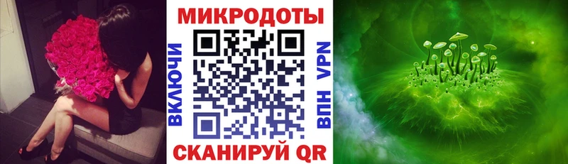 сколько стоит  Гусев  Псилоцибиновые грибы Psilocybine cubensis 